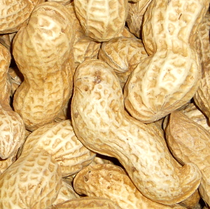peanuts-roasted-in-shell